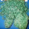 Buy Green MDMA 10G UK