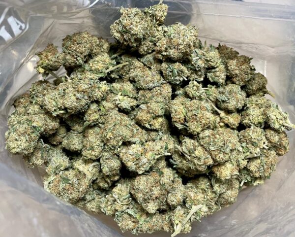 Shop Premium Skunk Online UK