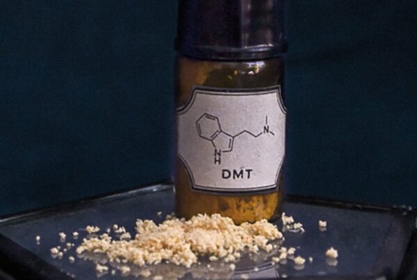 Shop DMT.width 1524 UK
