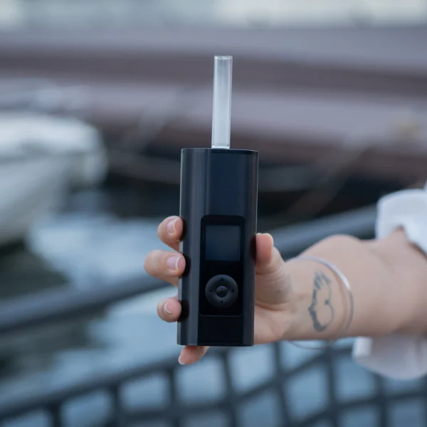 Shop arizer solo 3 size 2 UK