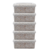 Authentic Magic Mushroom Grow kit
