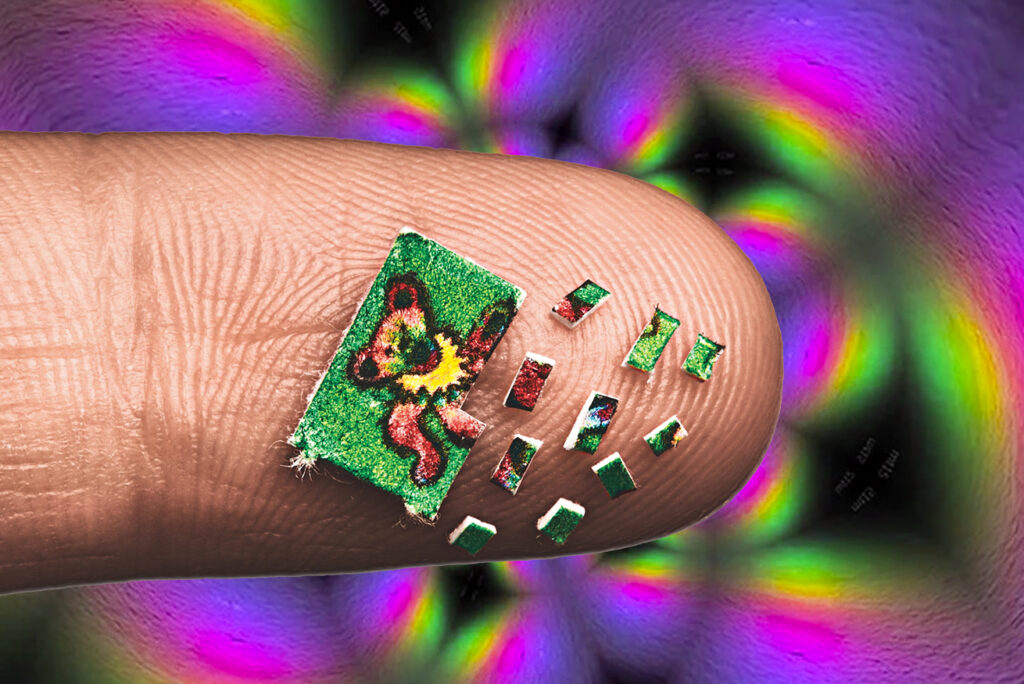 Psychedelics and Creativity