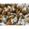 Buy Penis Envy Mushrooms UK