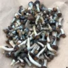 Buy Psilocybe Baecoystis Online UK