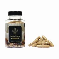 Buy Lion’s Mane Extract online UK