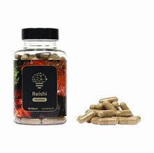 Buy Reishi Extract Online UK