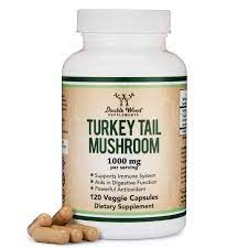 Shop Turkey Tail Extract Online UK